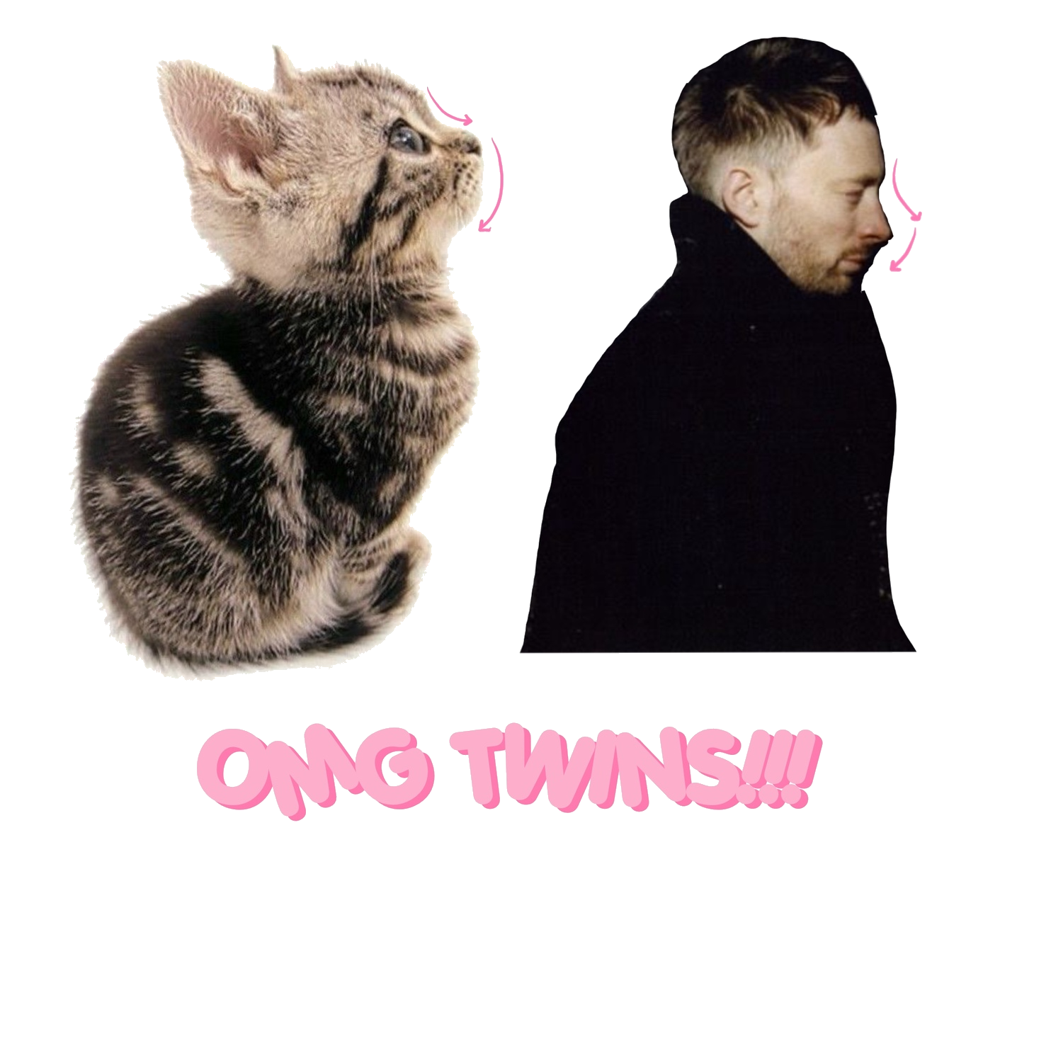 thomcattwins